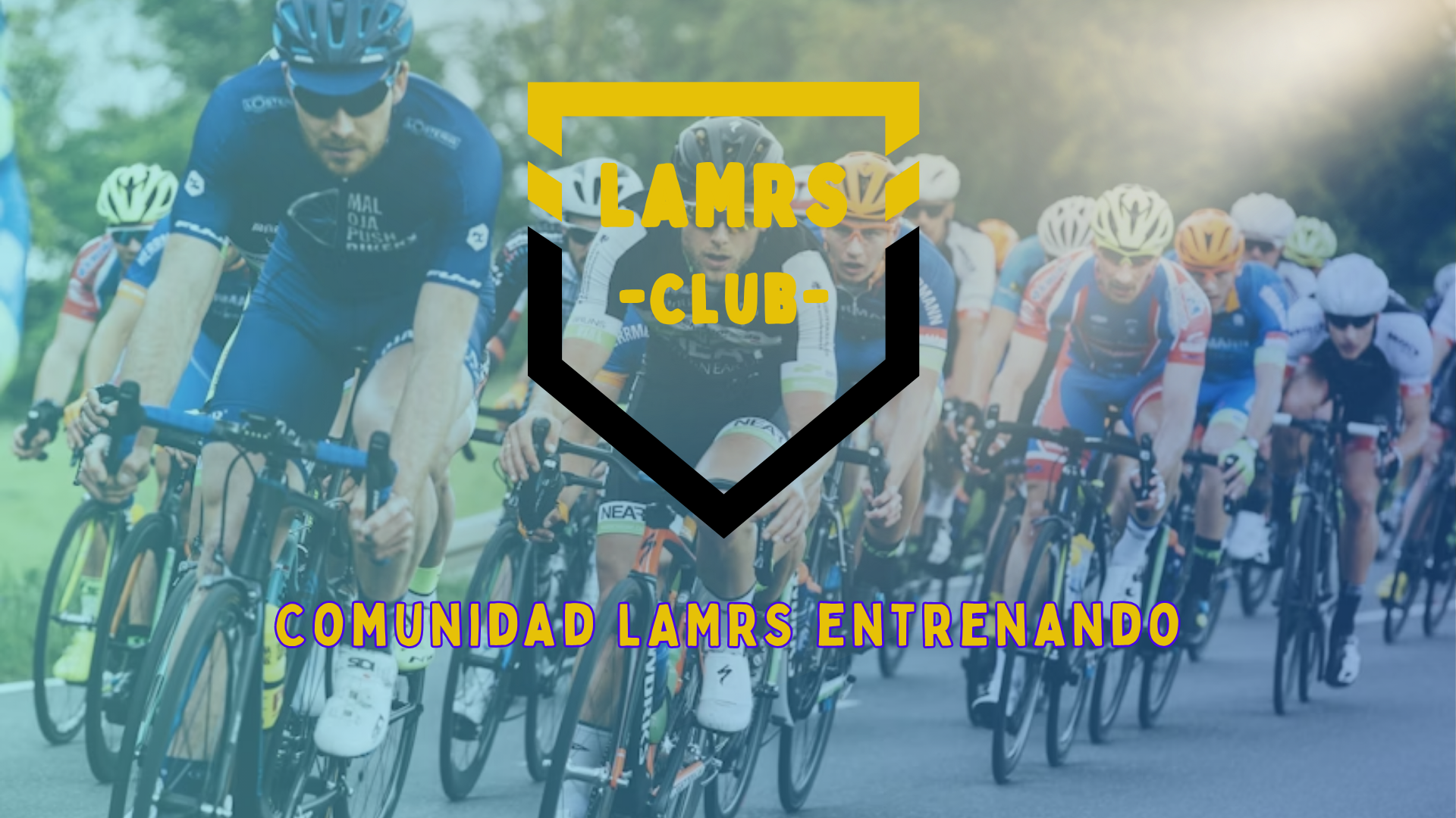 Comunidad LAMRS